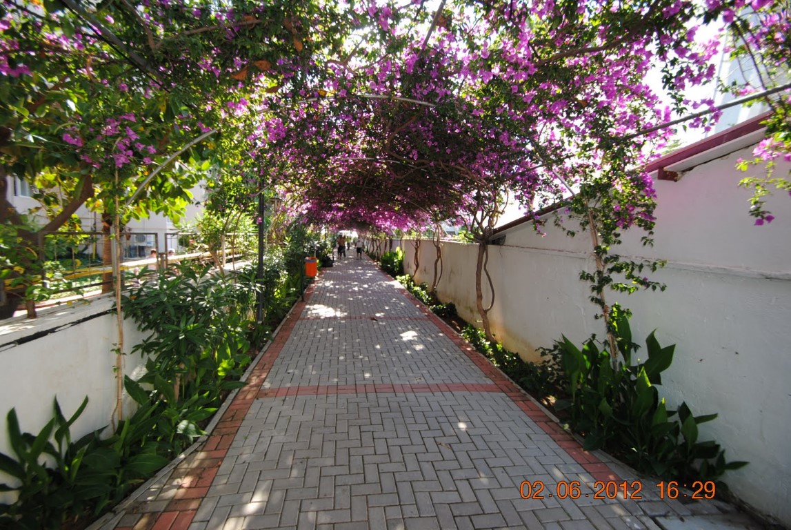 imagini hotel ALAIYE RESORT ALANYA